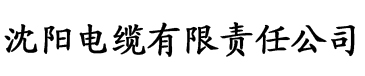 91富二代短视频电缆厂logo